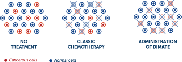 SEFALDIN nouvelle thérapie pour le traitement du cancer