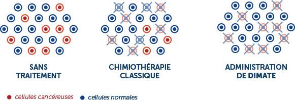 SEFALDIN nouvelle thérapie pour le traitement du cancer